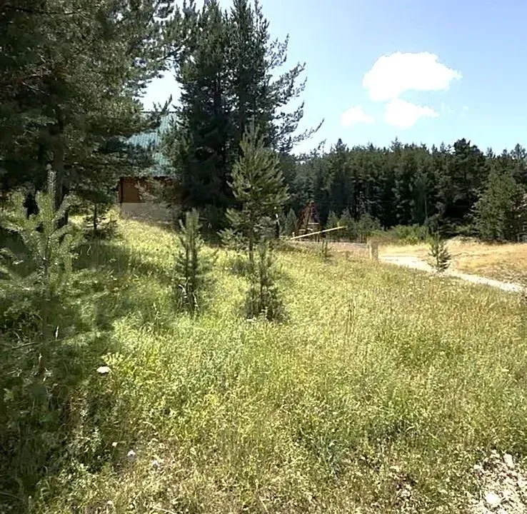 Sale, land lot, 1485m², Borje, Žabljak