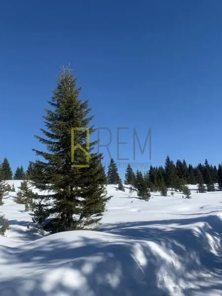 Prodaja, plac, 400m², Žabljak, Crna Gora