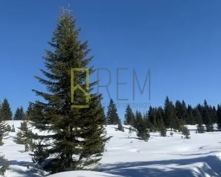 Prodaja, plac, 400m², Žabljak, Crna Gora - image 4