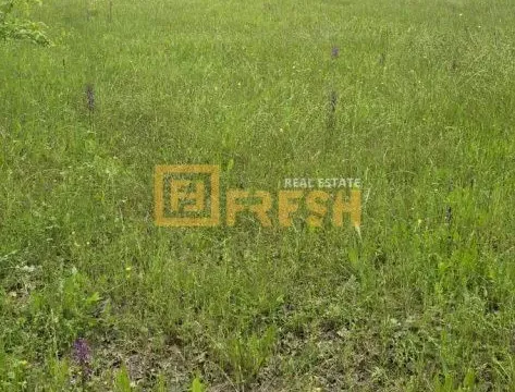 Prodaja, plac, 3500m², Danilovgrad, Crna Gora - image 5