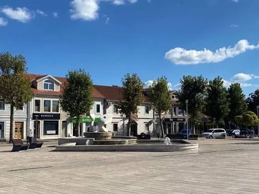 View of the city square and surrounding buildings with a fountain.