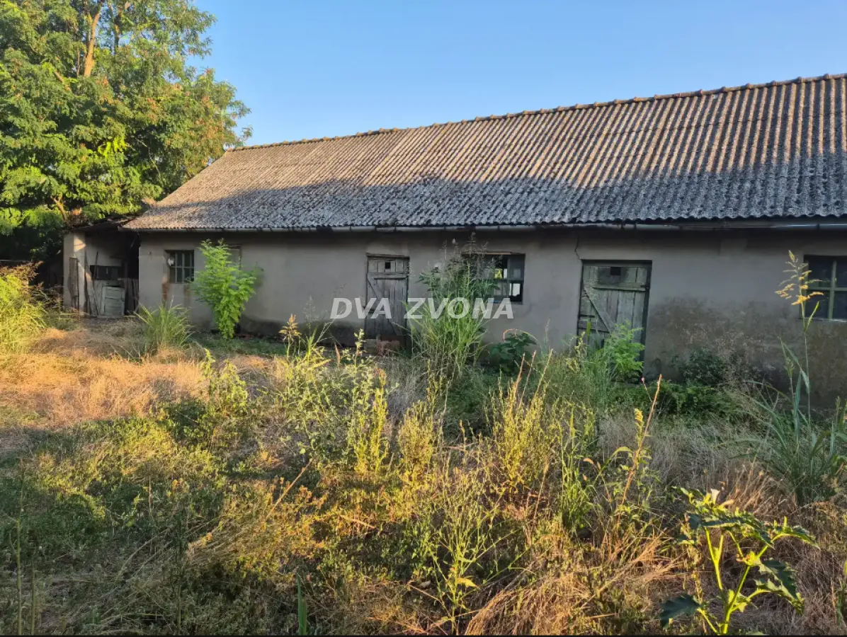 Pogled na staru prizemnu kuću sa dvorištem obraslim travom i rastinjem.