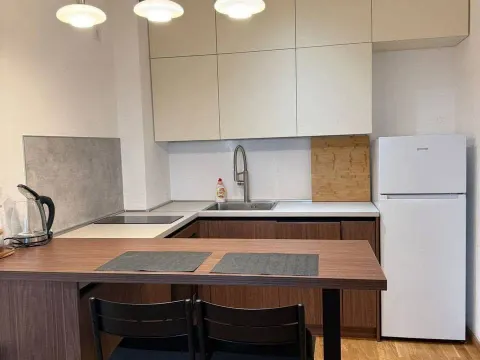 Izdavanje, jednosoban stan, 48m², Bečići, Budva - image 4