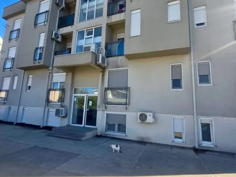 Izdavanje, stan, 25m², Zabjelo, Podgorica - image 6