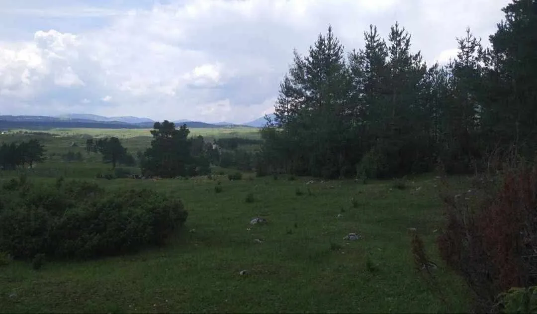 Prodaja, plac, 17000m², Žabljak, Crna Gora