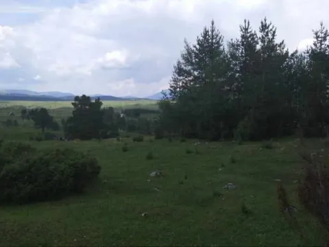 Prodaja, plac, 17000m², Žabljak, Crna Gora - image 5