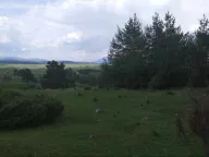 Prodaja, plac, 17000m², Žabljak, Crna Gora - image 5