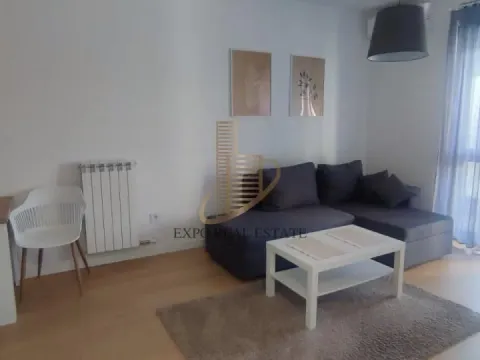 Izdavanje, jednosoban stan, 45m², Tošin bunar, Novi Beograd Sve Podlokacije - image 5