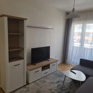 Rent, one bedroom apartment, 43m², Central Point, Podgorica - image 6