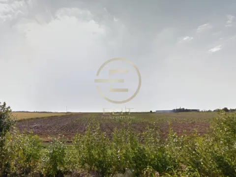 Sale, land lot, 207m², Čenej, Novi Sad Sve Podlokacije