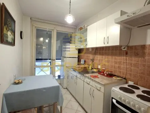 Izdavanje, jednosoban stan, 50m², Vračar Hram, Vračar Sve Podlokacije - image 5