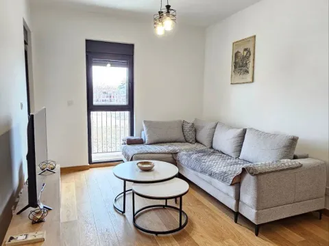 Rent, one bedroom apartment, 45m², New City, Podgorica - image 2