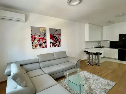 Rent, one bedroom apartment, 47m², Stari Aerodrom, Podgorica - image 2