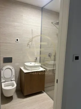 Modern bathroom with a walk-in shower, washbasin, and toilet. - image 10