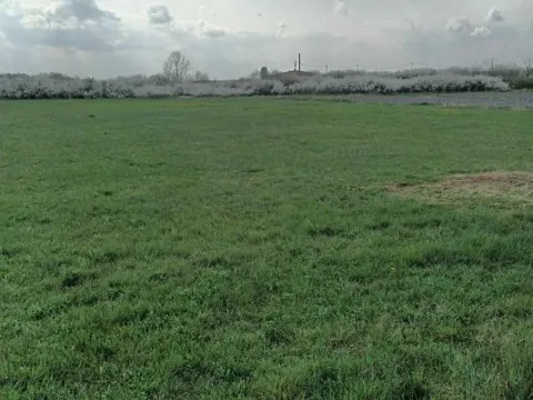 Prodaja, plac, 2391m², Petrovčić, Surčin - image 2