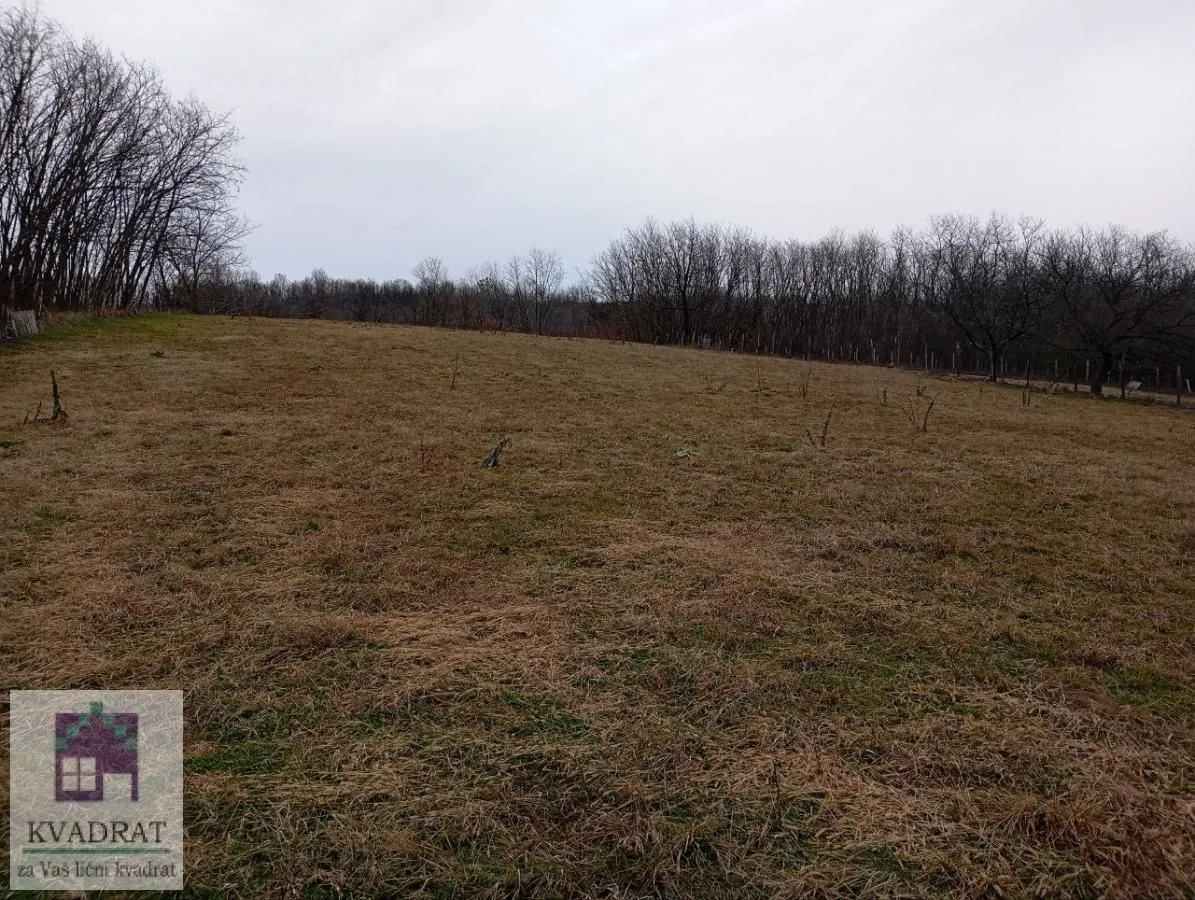 Sale, land lot, 8600m², Konatice, Obrenovac