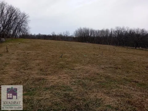 Prodaja, plac, 8600m², Konatice, Obrenovac - image 3