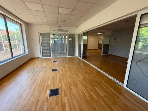 Izdavanje, poslovni prostor, 180m², Stara Varoš, Podgorica - image 2