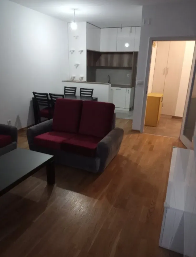 Izdavanje, jednosoban stan, 55m², Ljubović, Podgorica