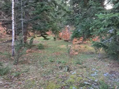 Sale, land lot, 10500m², Stublo, Čajetina - image 7