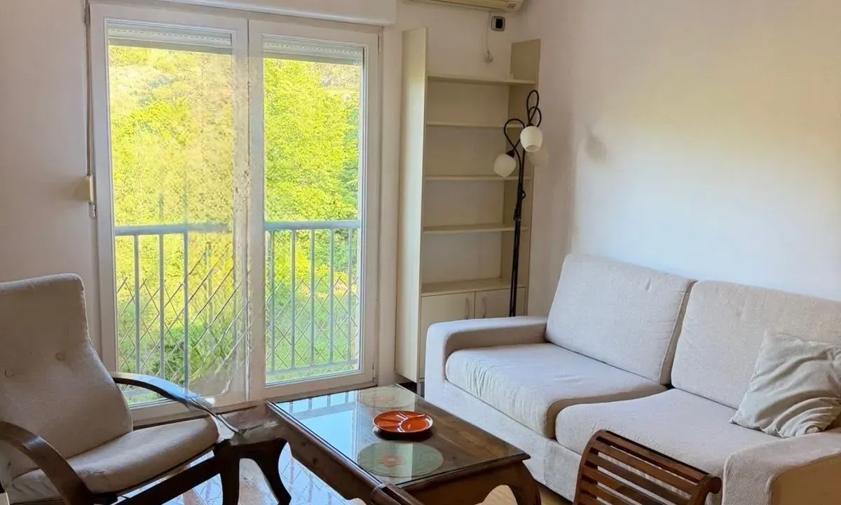 Rent, one bedroom apartment, 45m², Zagorič, Podgorica