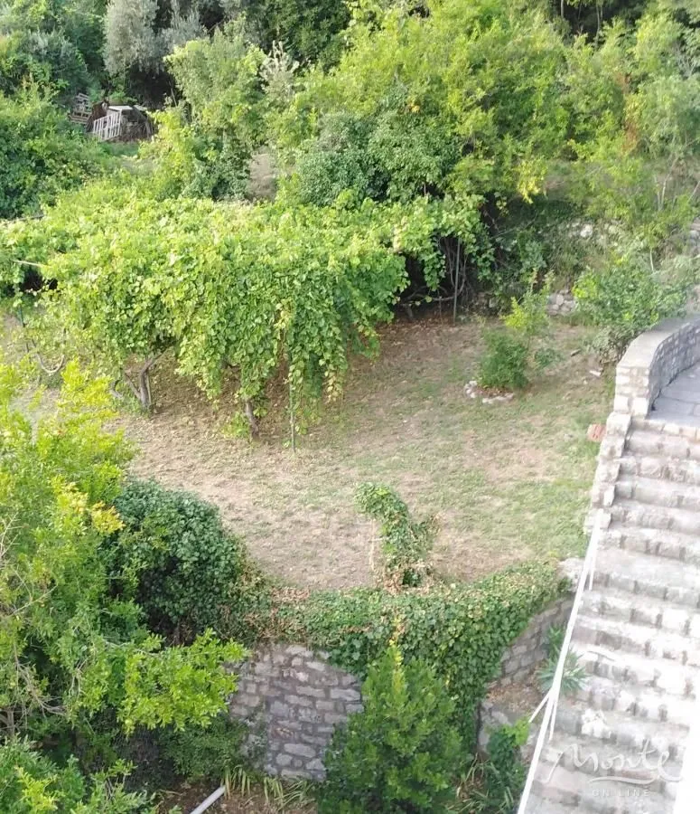 High-angle view of a green yard and garden with stone stairs.