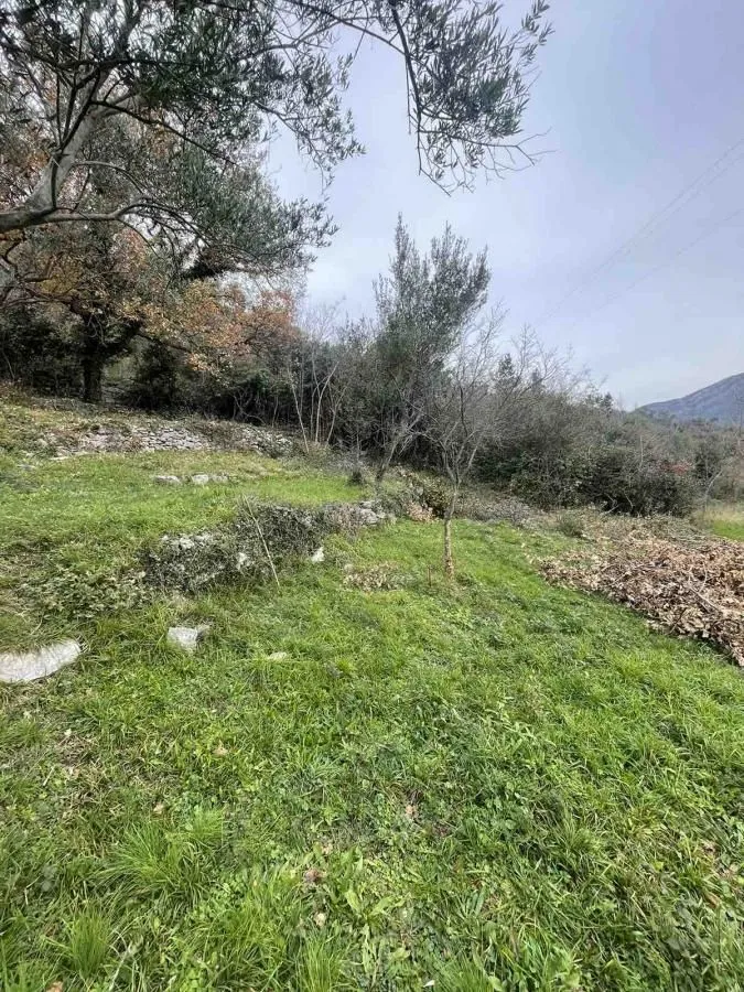 Prodaja, plac, 700m², Jošica, Herceg Novi
