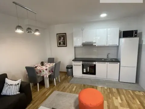 Izdavanje, dvosoban stan, 47m², Petrovaradin, Novi Sad - image 3