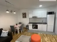 Izdavanje, dvosoban stan, 47m², Petrovaradin, Novi Sad - image 3