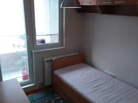 Izdavanje, jednosoban stan, 38m², Zvezdara Sve Podlokacije, Beograd - image 7