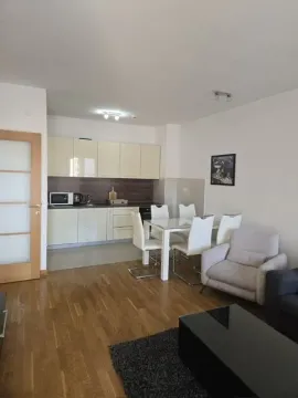 Dnevni boravak sa trpezarijom i kuhinjom u produžetku. - image 4