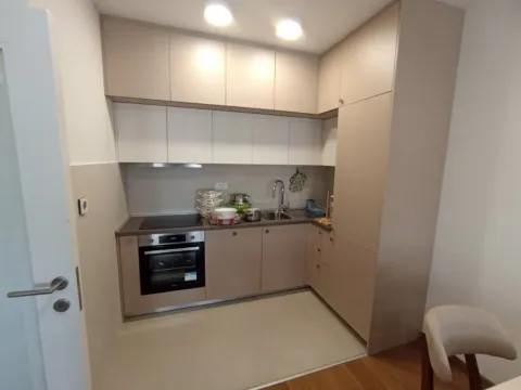 Izdavanje, jednosoban stan, 53m², Preko Morače, Podgorica - image 11