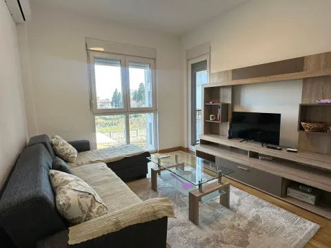 Rent, one bedroom apartment, 42m², Zabjelo, Podgorica - image 1