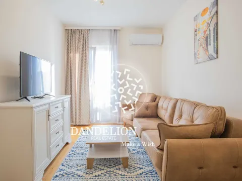 Izdavanje, jednosoban stan, 42m², Central Point, Podgorica - image 16