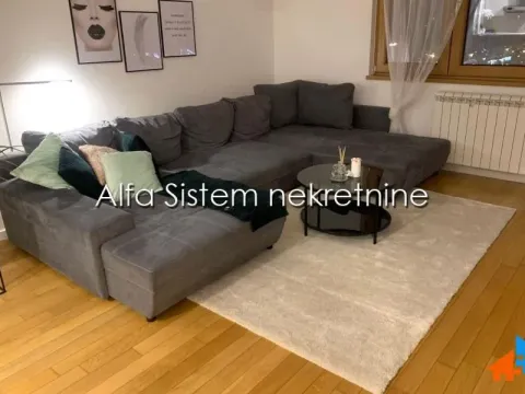 Izdavanje, dvosoban stan, 55m², Novi Beograd Blok 67, Novi Beograd Sve Podlokacije