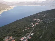 Prodaja, plac, 1680m², Herceg Novi, Crna Gora - image 8