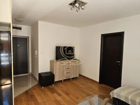 Rent, two bedroom apartment, 40m², Bulbulder, Zvezdara Sve Podlokacije - image 4