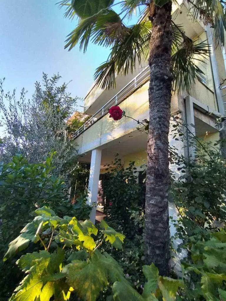 Vanjski izgled kuće okružene bujnim zelenilom i palmama.