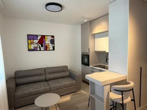 Izdavanje, garsonjera, 22m², Zabjelo, Podgorica - image 4