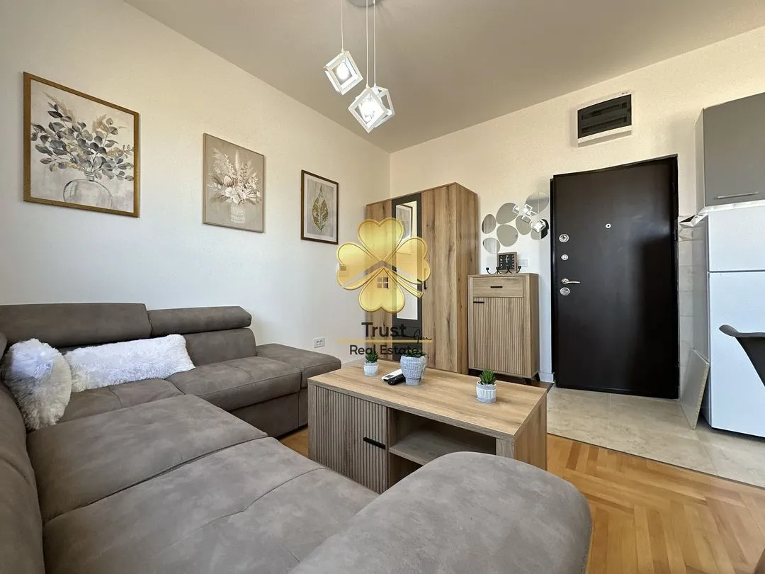 Rent, studio apartment, 28m², Zabjelo, Podgorica