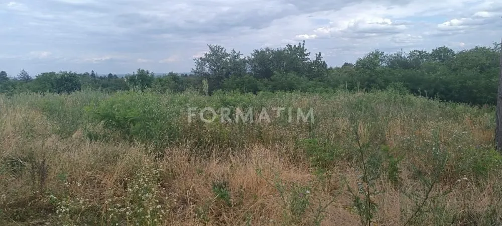 Prodaja, plac, 7200m², Sremski Karlovci, Novi Sad