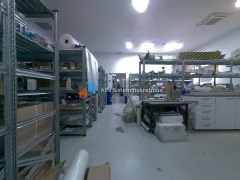 Izdavanje, poslovni prostor, 480m², Senjak, Beograd - image 4