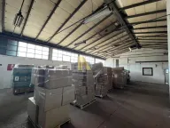 Izdavanje, poslovni prostor, 1200m², Čenej, Novi Sad Sve Podlokacije - image 6