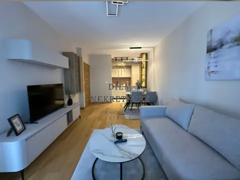 Izdavanje, jednosoban stan, 46m², Centar, Podgorica - image 8