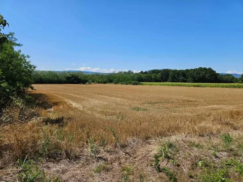 Prodaja, plac, 9300m², Krćevac, Topola - image 3