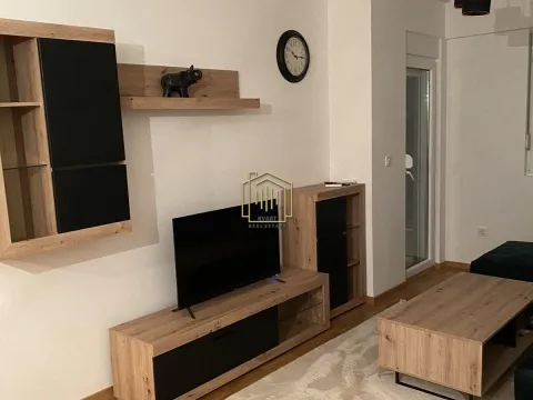 Izdavanje, jednosoban stan, 50m², Stari Aerodrom, Podgorica - image 4