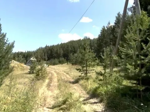 Prodaja, plac, 1724m², Borje, Žabljak - image 5