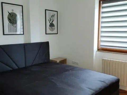 Izdavanje, dvosoban stan, 45m², Centar, Novi Sad - image 5