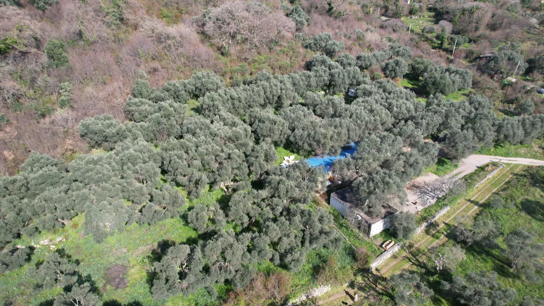 Prodaja, plac, 15810m², Buljarica, Budva