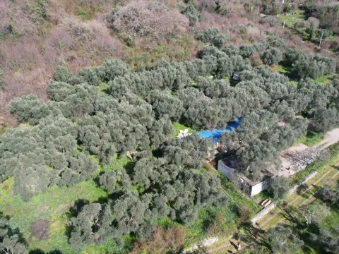 Prodaja, plac, 15810m², Buljarica, Budva - image 19